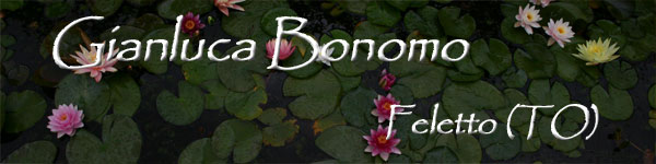 Gianluca Bonomo - Feletto (TO)